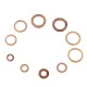 200pcs Copper Washer Red Copper Oil Seal Gasket Box Flat Washer Set