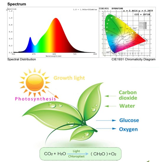 200w Led Grow Light 180 Degree Adjustable Full Spectrum Hydroponic Plant Growing Lamp for Indoor Plants 100W