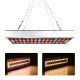 25W/45W Full Spectrum LED Grow Light Series Circuits Lamp for Greenhouse Indoor Plants