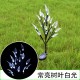 2Pcs Solar Powered Branch Leaves Light Lawn Lamp for Outdoor Garden Landscape White light