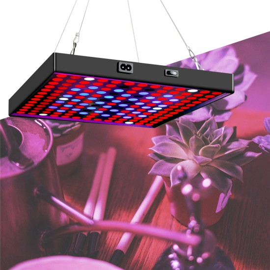 50w 81led Waterproof Grow  Light Growing Lamp Full Spectrum For Indoor Plant Hydroponic EU plug