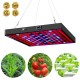 50w 81led Waterproof Grow  Light Growing Lamp Full Spectrum For Indoor Plant Hydroponic UK plug