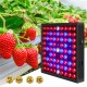 50w 81led Waterproof Grow  Light Growing Lamp Full Spectrum For Indoor Plant Hydroponic U.S plug