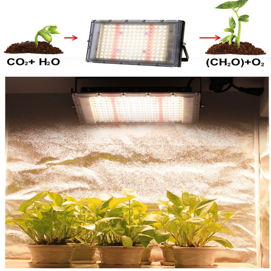 50w Led Grow Light With Plug Full Spectrum Plant Growing Lamp For Greenhouse Hydroponic Flower Seeds EU plug