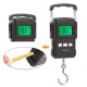 75Kg Electronic Weighing Scale LCD Digital Display Hanging Hook Scale for Fishing Travel A22 portable electronic scale with ruler