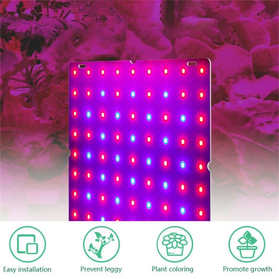 81led Led Grow Light Full Spectrum Uv Plant Growing Lamp For Indoor Hydroponic Plants EU plug