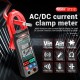 ANENG Digital Clamp Meter 6000 Counts St212 DC Current 400a Multimeter Voltage Tester Hz Ncv Ohm Black