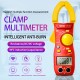 ANENG St170 Clamp Meter Digital Multimeter 500A AC Current AC DC Voltage Tester 1999 Counts Capacitance Ncv Ohm Detection Black