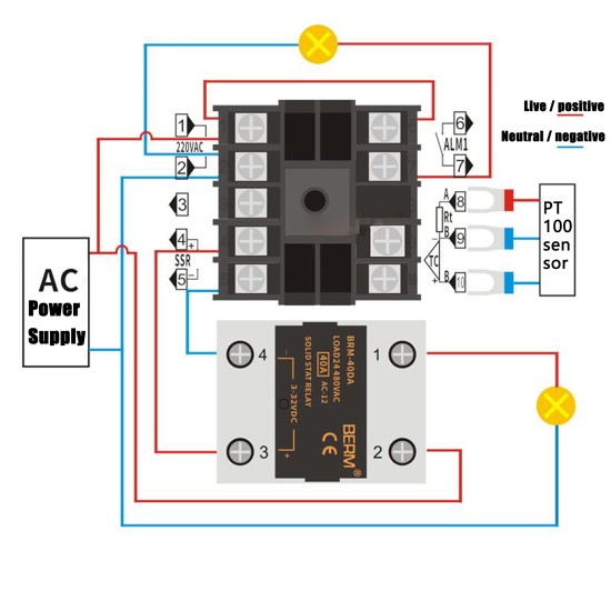 DC24V PID Temperature Controller REX-C100FK02-V*AN 0-400 Degree SSR