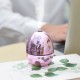 Egg Shape Air Humidifier Mini USB Car Aromatherapy Humidifier for Desktop Home Office Pink