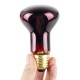 R63 Infrared Sterilize Heating Light Bulb 60W E27