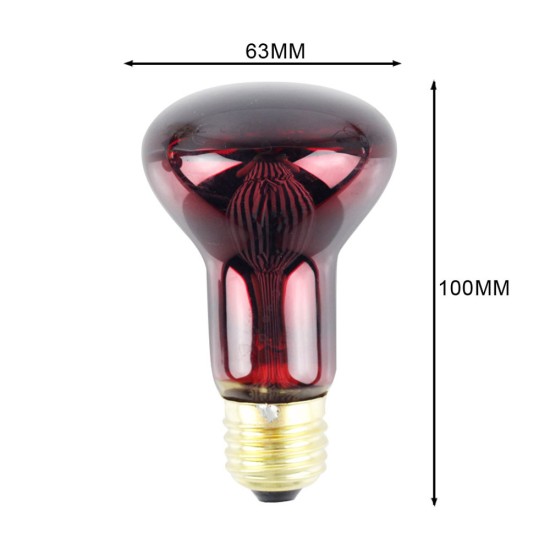 R63 Infrared Sterilize Heating Light Bulb 60W E27