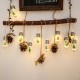 String  Light Ed Wishing Bottle Christmas Tree Decoration Ip54 Light String