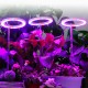 Usb Led Grow  Light 1/2/3/4 Dimmable Full Spectrum Ring Light Plant Growing Lamp For Indoor Plants 1 head