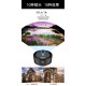 Mobile Phone Lens Wide-angle Macro Fisheye Increase UV Gradient Mirror CPL Starlight 10pcs/set black