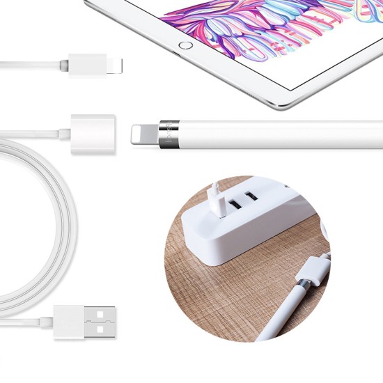 2-in-1 Function Charger for Apple Pencil Adapter for iPhone and iPad Pro  - White