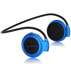 Wireless Bluetooth Headphones FM Radio Sport Music Stereo Earpics Micro SD Card Slot Headset blue