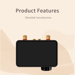 Mini Audio Hifi Digital Amplifier Bluetooth 5.0 Hifi Fever Audio MP10 Player Lossless Player