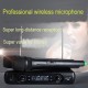 Professional Karaoke Wireless Microphone Mixer Audio Radio Kits Handheld LCD Microphone black_EU plug