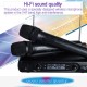 Professional Karaoke Wireless Microphone Mixer Audio Radio Kits Handheld LCD Microphone black_EU plug