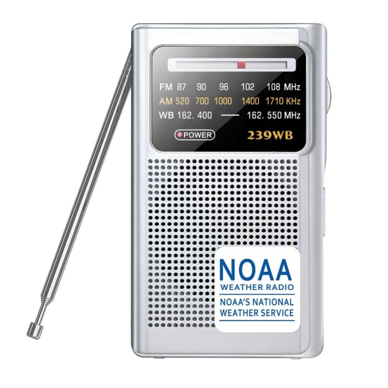 FM/AM Emergency Pointer Tuning Radio Mini Handheld Pocket Radio Speaker with Dsp Digital Signal Processor Silver