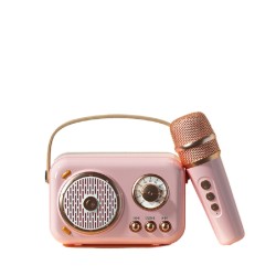 Portable Bluetooth Speaker B152 Audio Integrated Microphone Speaker Small Family KTV Pink