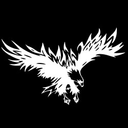 50 * 80cm Animal Eagle Car-styling Motorcycle Car Sticker Vinyl Decal white