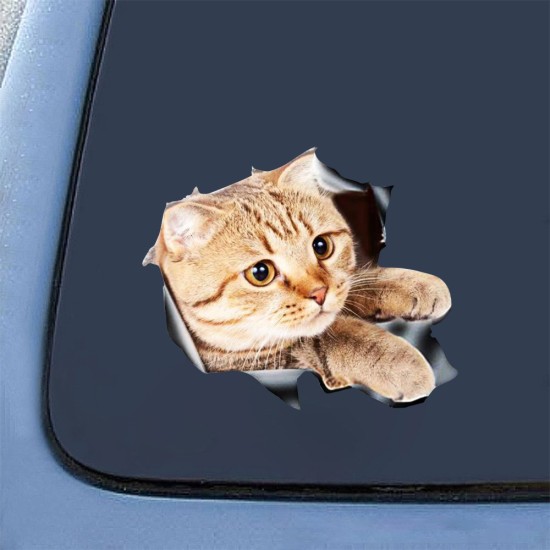 Funny Car  Sticker Body Dog Cat Puppy Scratch Paint Subsidies Cartoon Simulation Door Body Decal Orange Cat No. 4 17*23cm